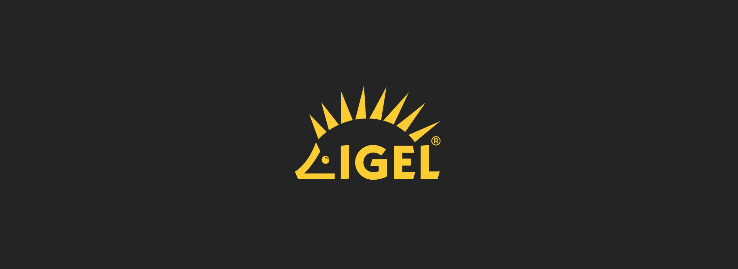 IGEL – Das Edge OS für das Arbeiten von zu Hause | Raab IT Gerstetten